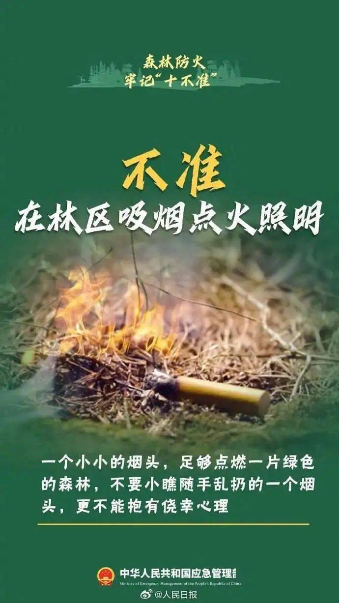 森林防火牢记"十不准"_处置_微信_警方