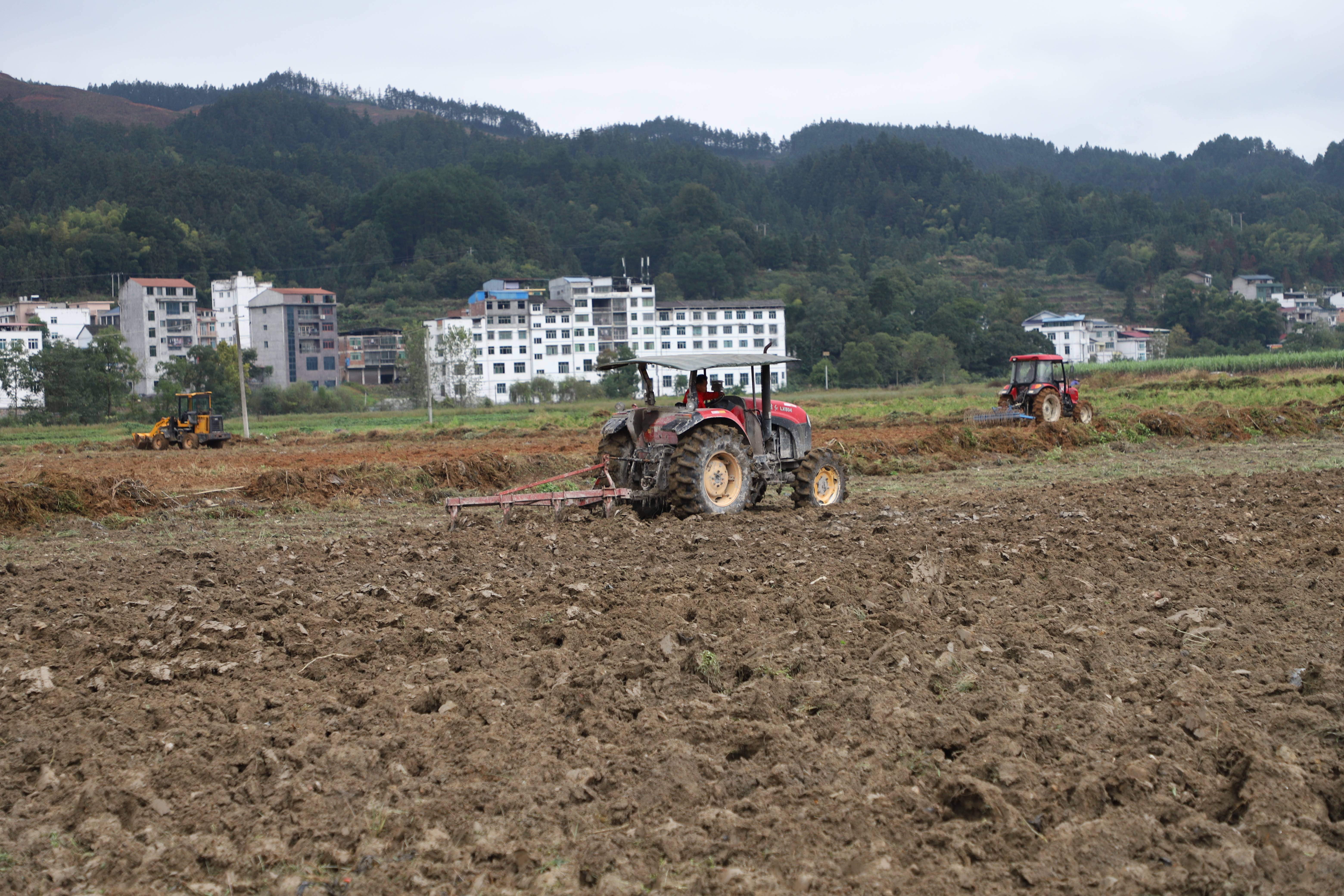 天柱凤城街道:春耕备耕农事忙