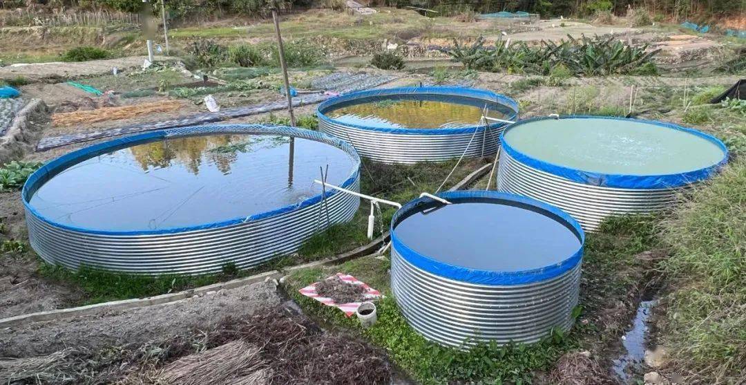 帆布池养殖有什么缺点