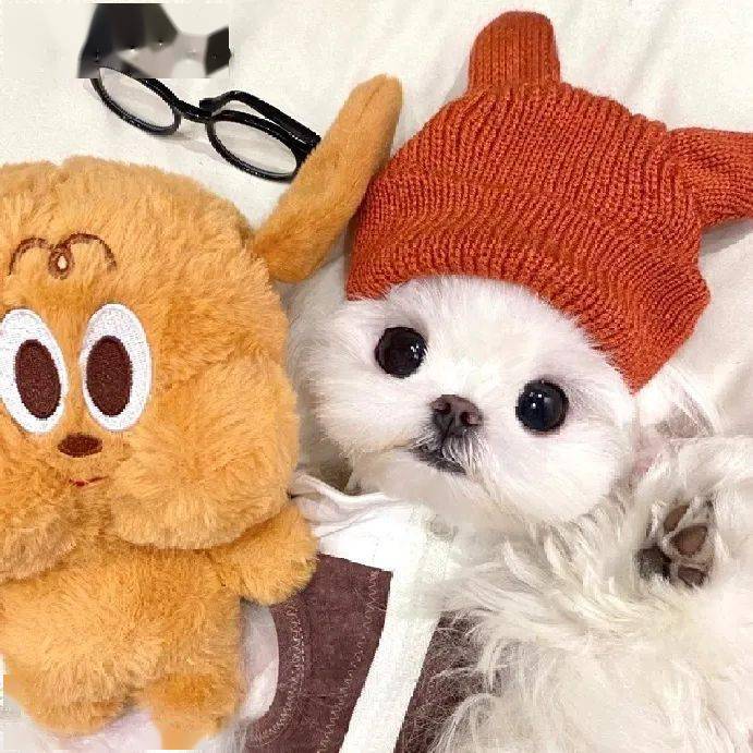 头像| 超级不错的ins头像很赞_ki