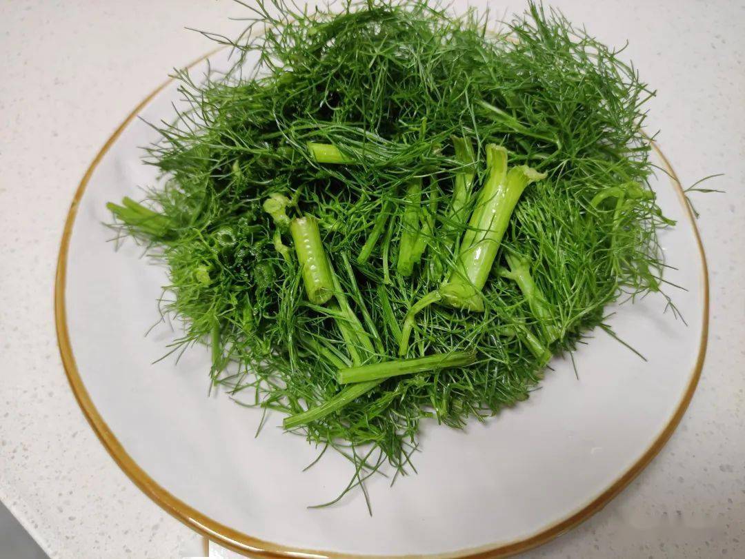 不懂吃可惜了_茴香_美食_备用