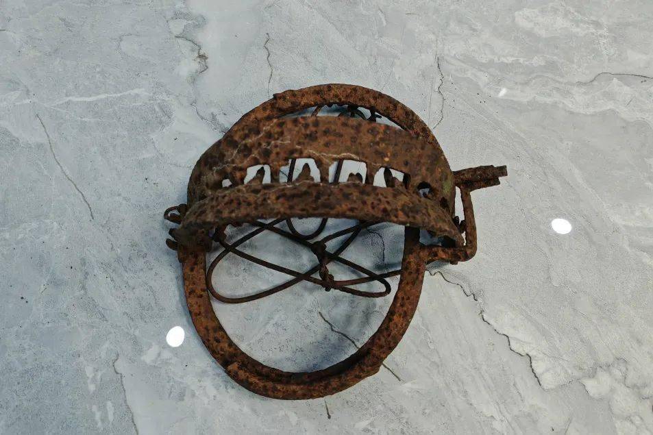 竟敢狩猎野猪,梅州一男子被抓