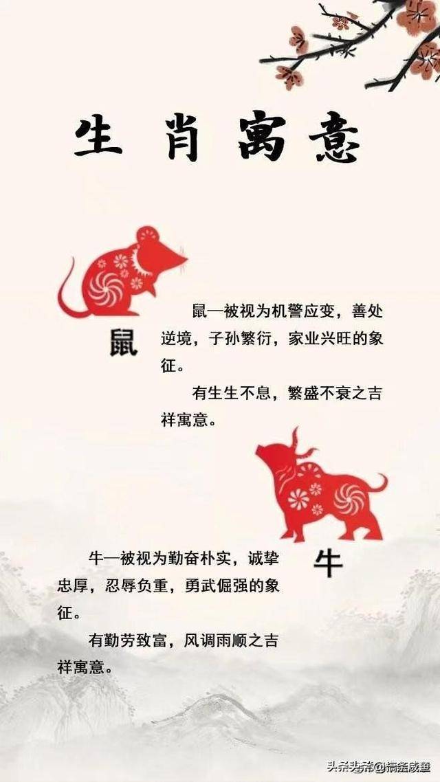 十二生肖的寓意,十二生肖代表的性格.涨见识了_知识_幸运_什么