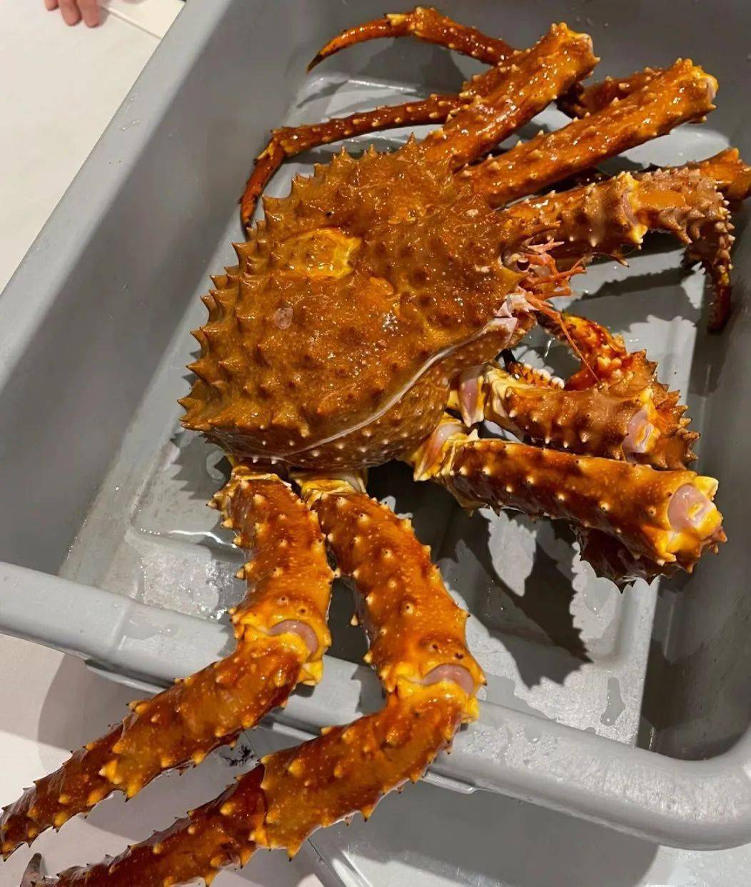 温哥华网友狂晒"皇帝蟹"宴!