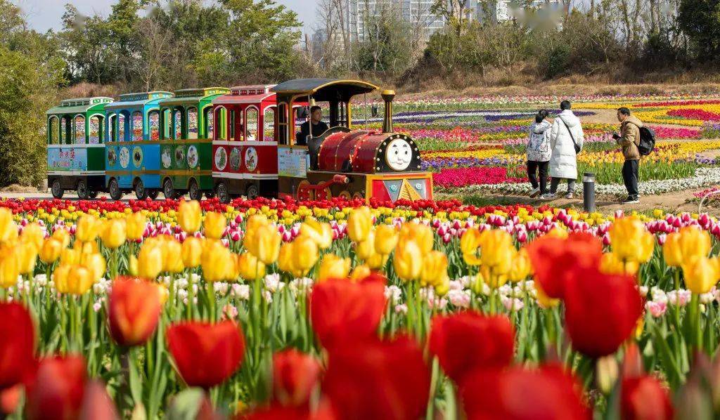 接下来的遂宁64花64花64花64花64花64