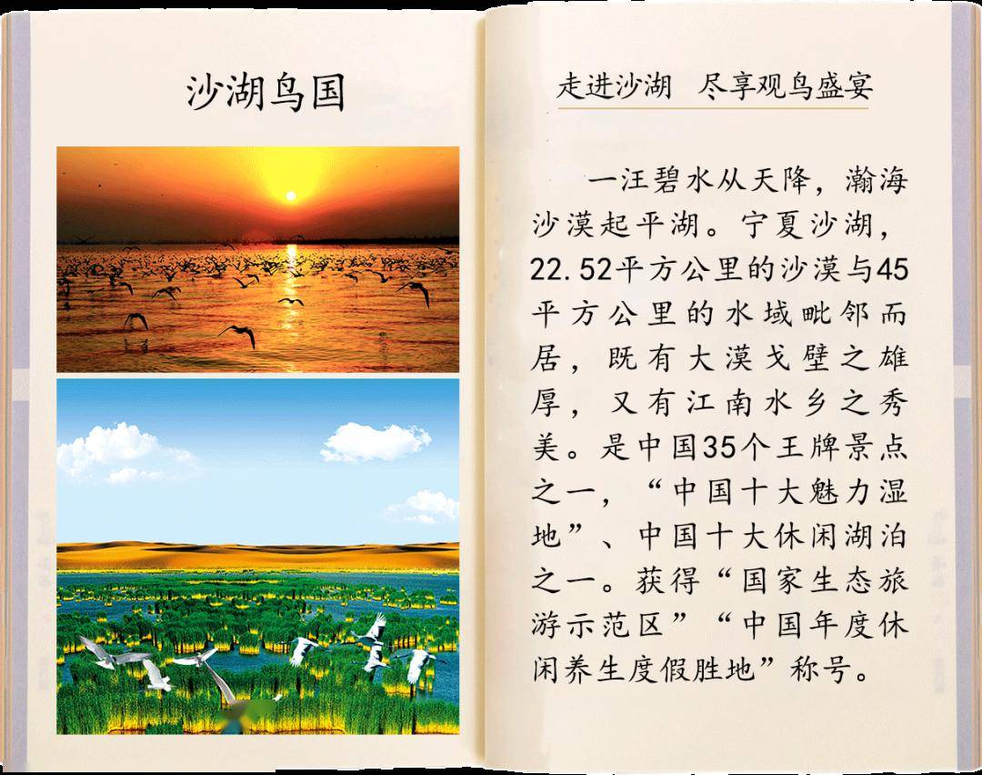 宁夏这本书,值得南来北往的旅人,用心去丈量_中国_遗址_贺兰山