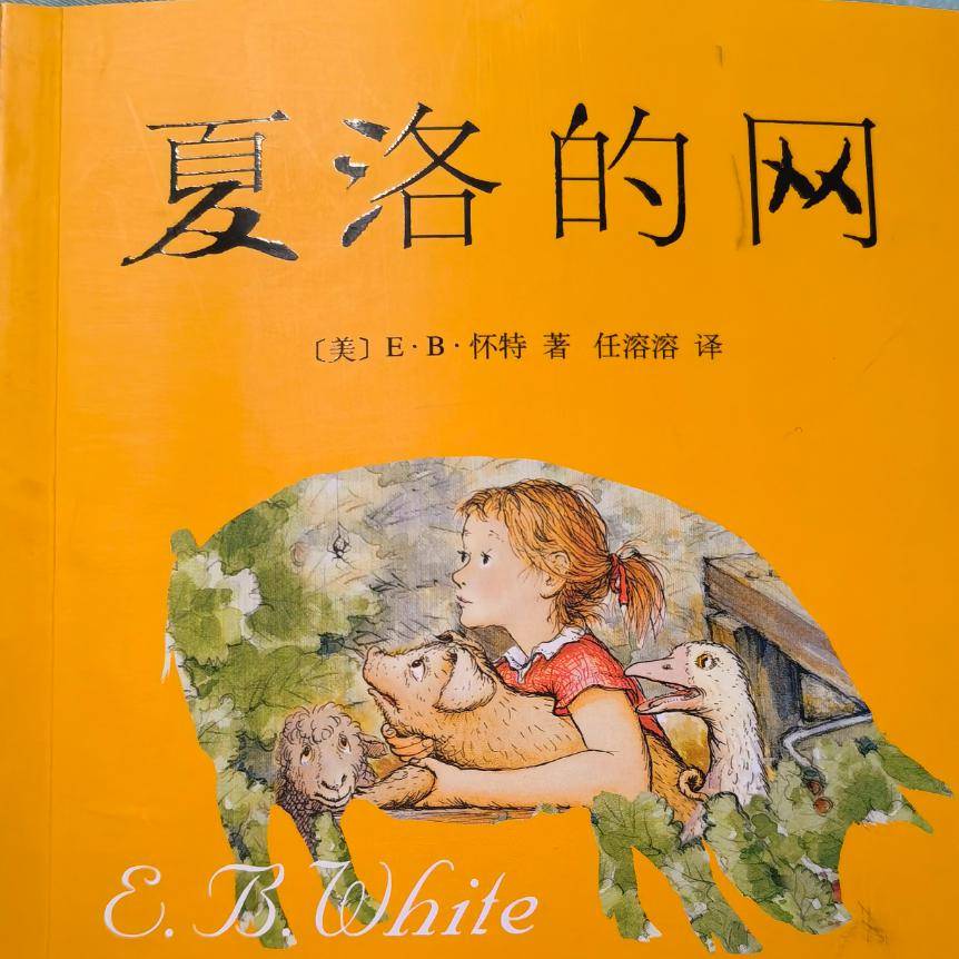 简医朗读者|汪春燕:夏洛的网_弗恩_布尔_爸爸