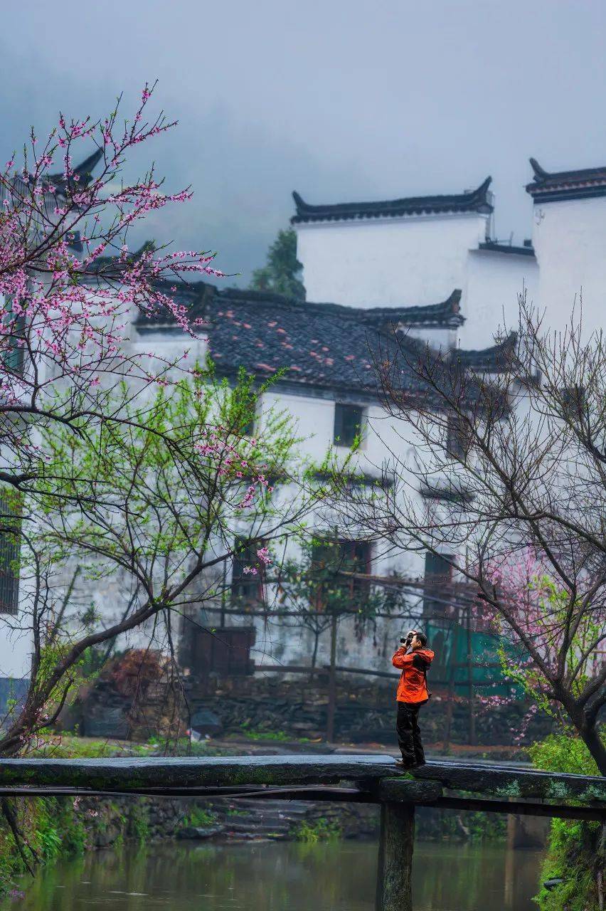 野外星星点点的油菜花,再加上墙头偶有伸出来的红梅,不自觉让你走进