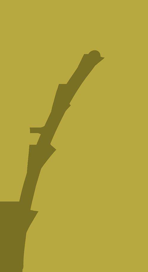 旅游_邻里_新风