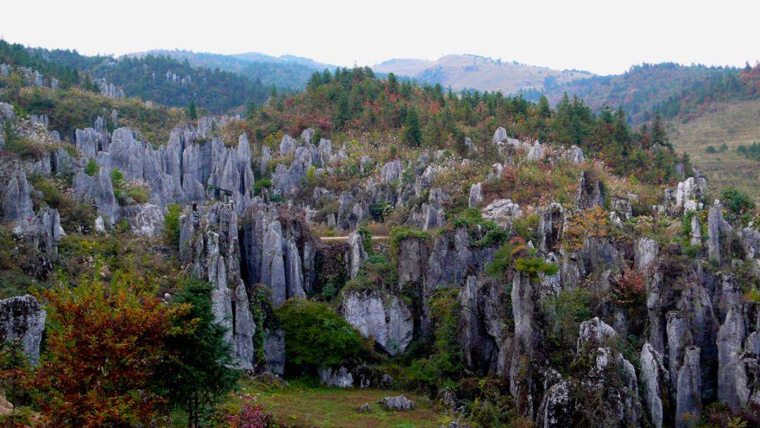 龙年必跑龙马2024湘鄂龙凤马拉松,跑进龙山的山川画卷