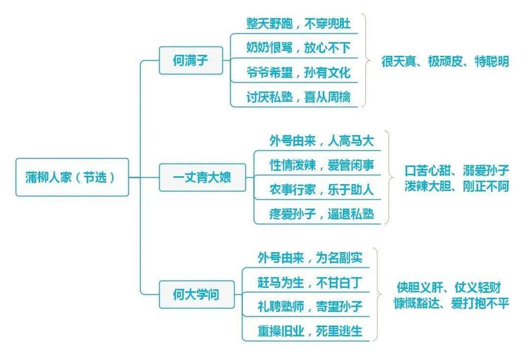 柑橘与柠檬啊思维导图图片