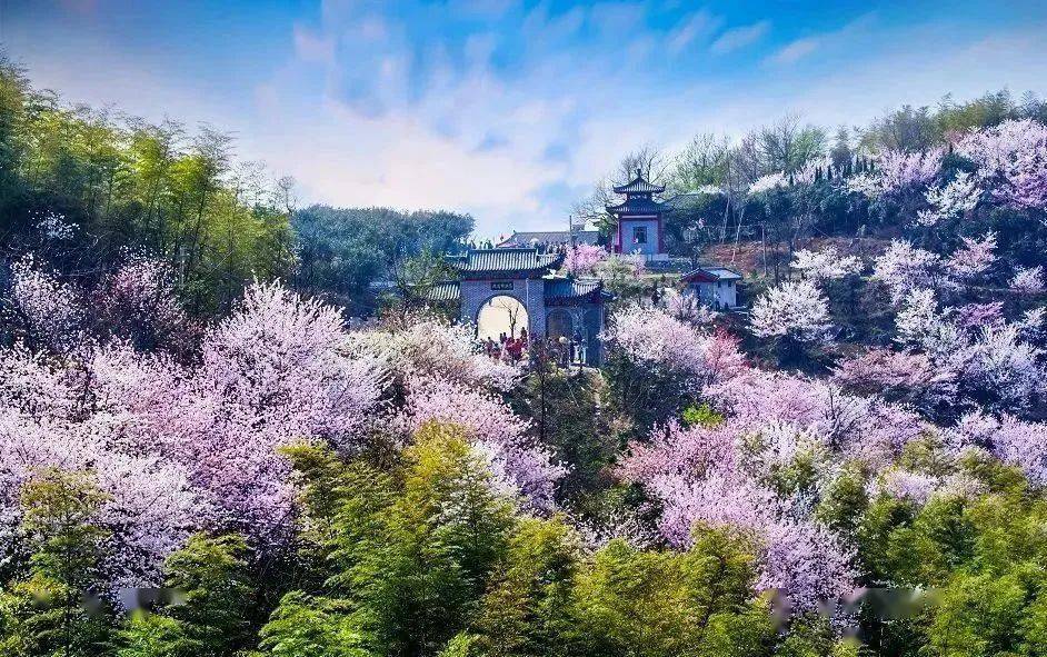 阳春三月,来看看赤壁都有哪些好玩的地方!_茶园_信息_陆水湖