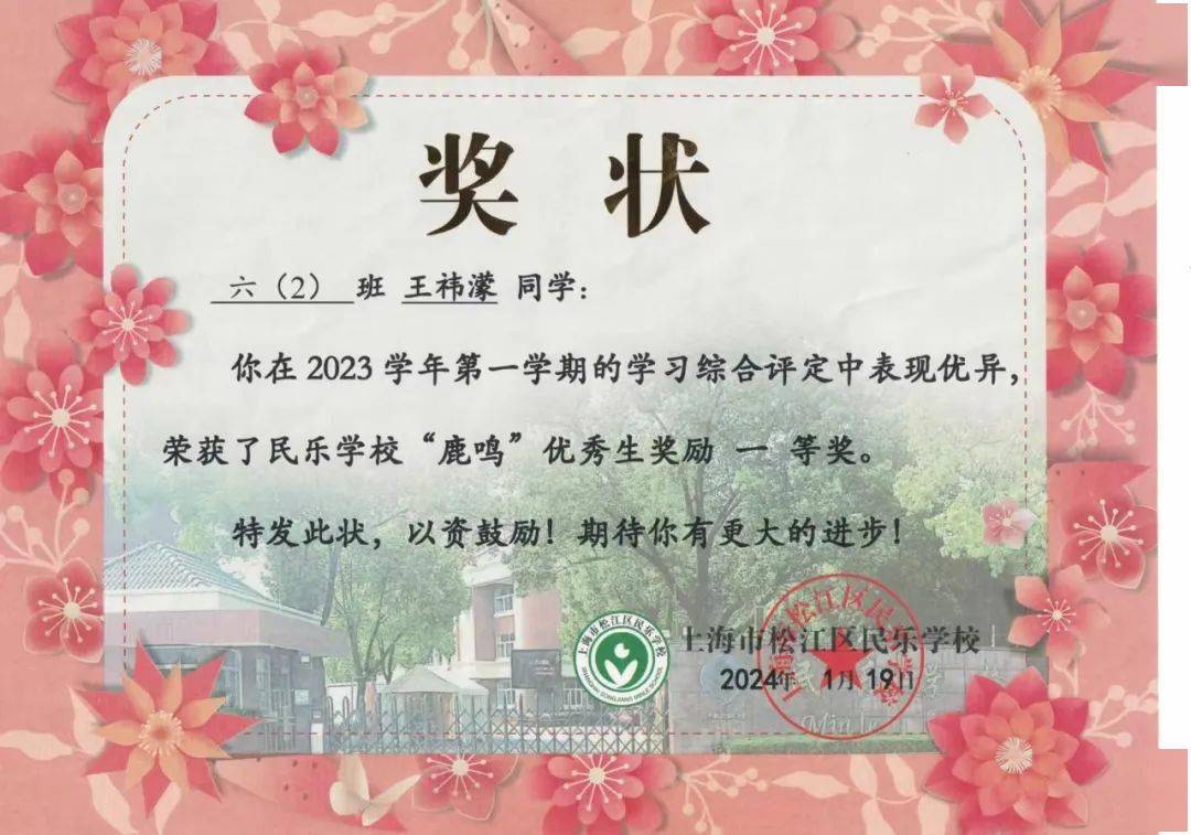 全人教育民乐之星书海绘梦乐中寻志六2中队王祎蒙