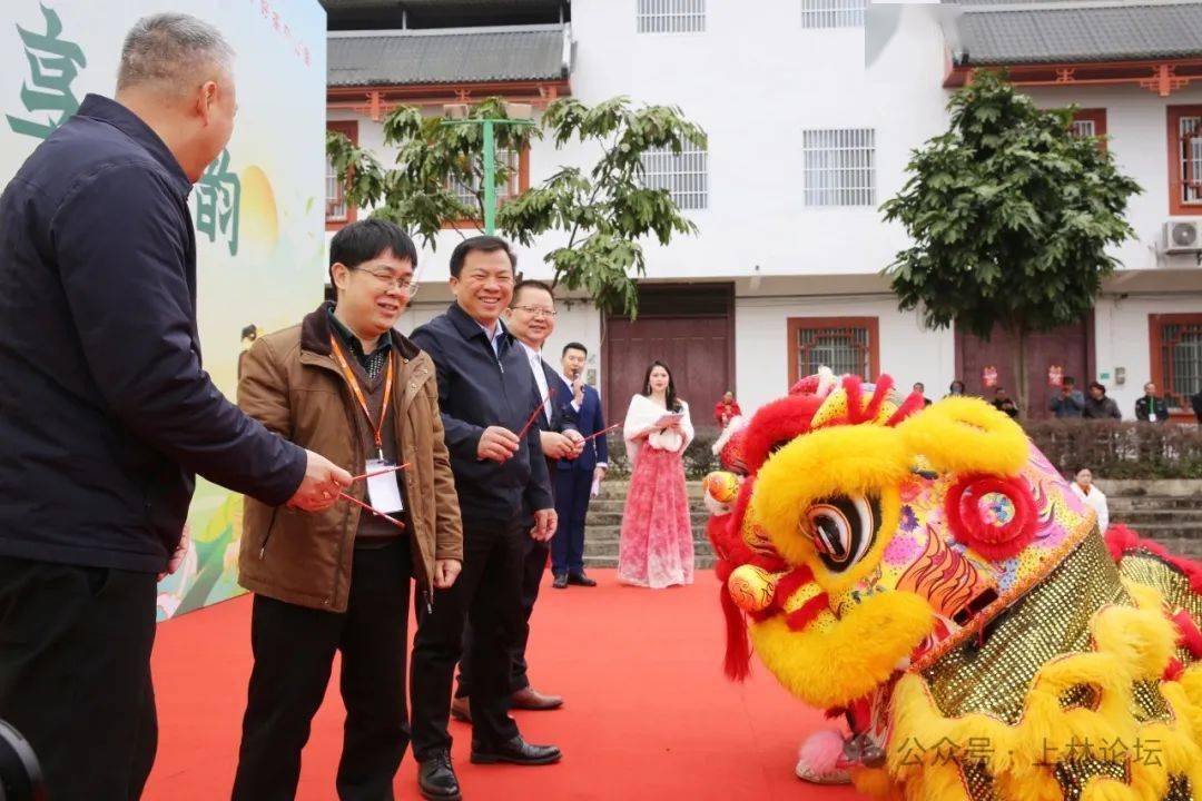 上林大明山茶园抢"鲜"开采_广西_农垦_嘉宾