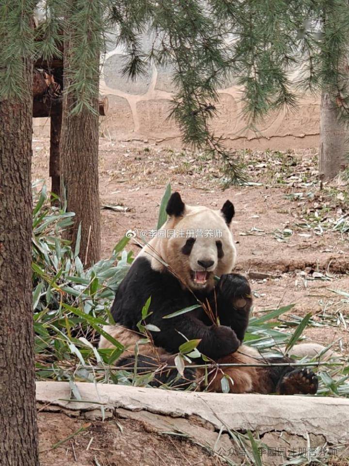 少踩坑玩开心_兵马俑_宝贝_秦始皇陵