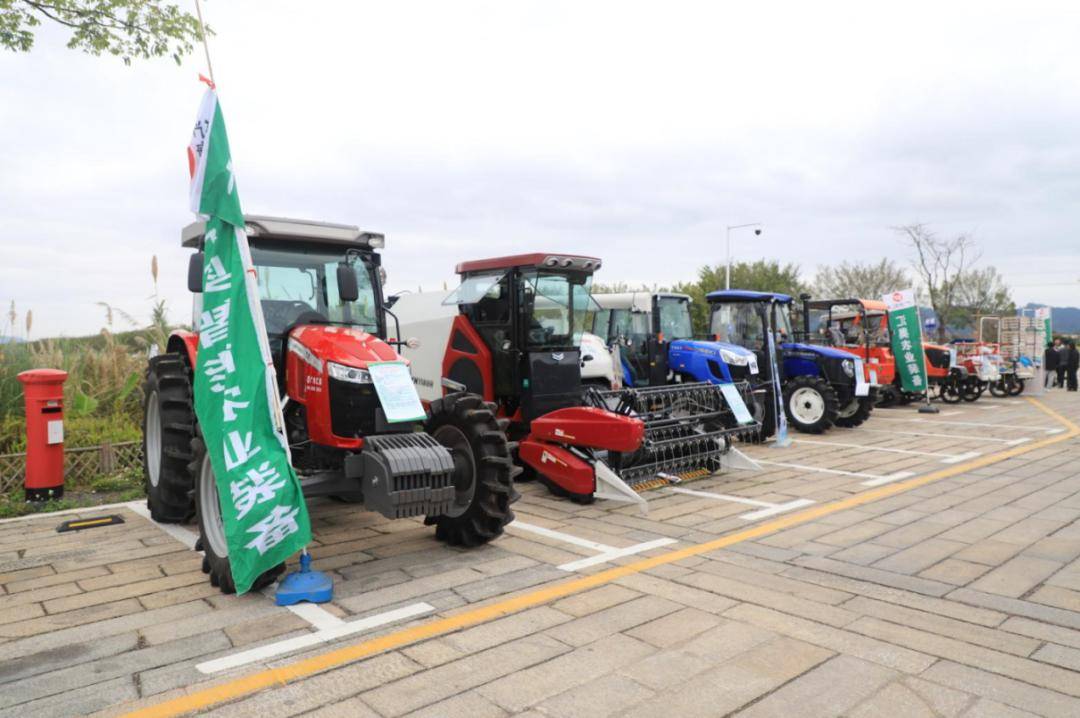 增城田间地头"火力全开"!_生产_工作_农业