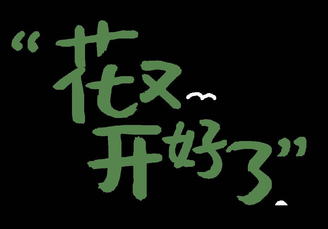 中山油菜花田,等你入镜!送门票