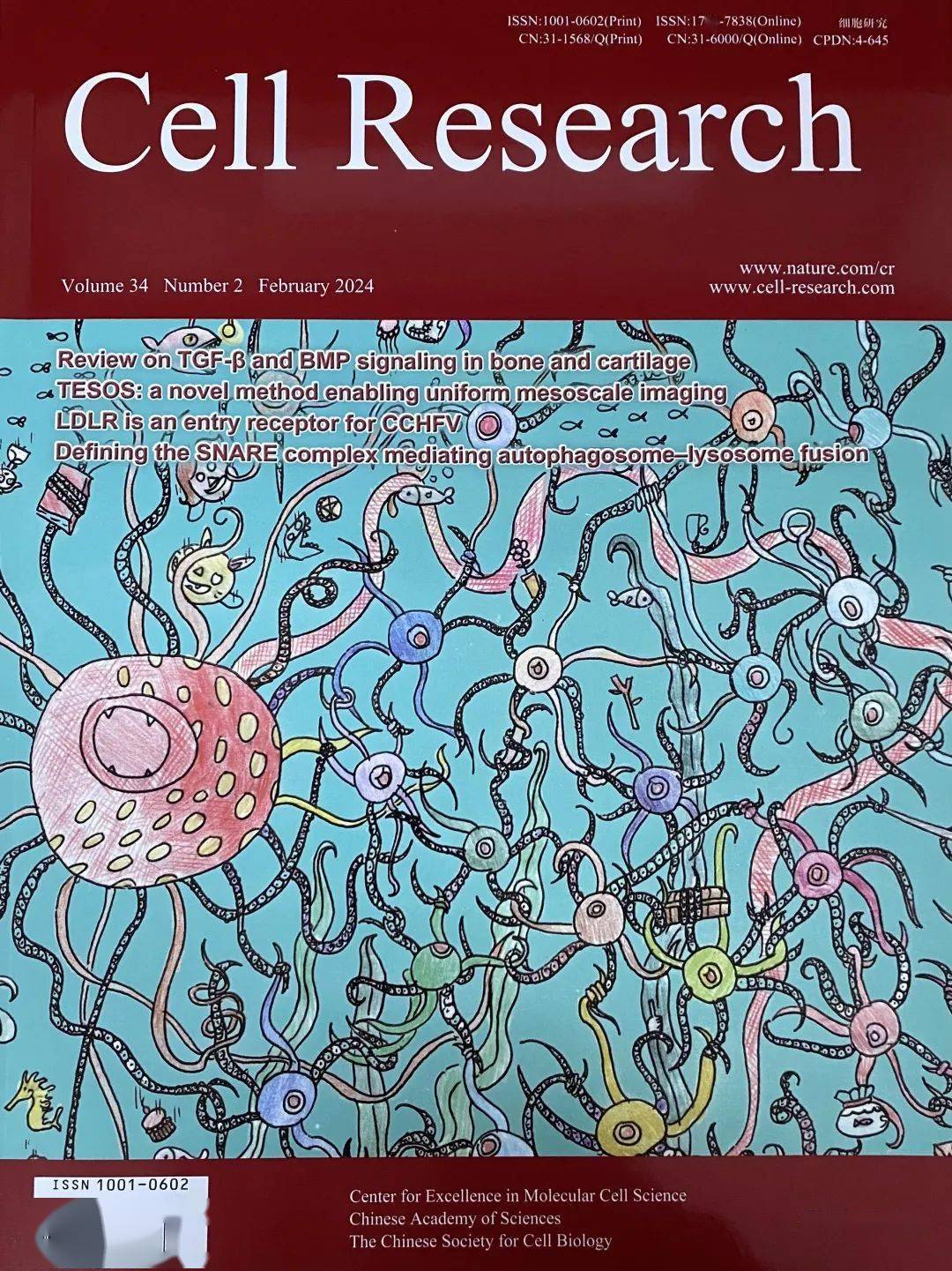 期刊封面掠影这个月我们联合了《中国生物化学与分子生物学报》