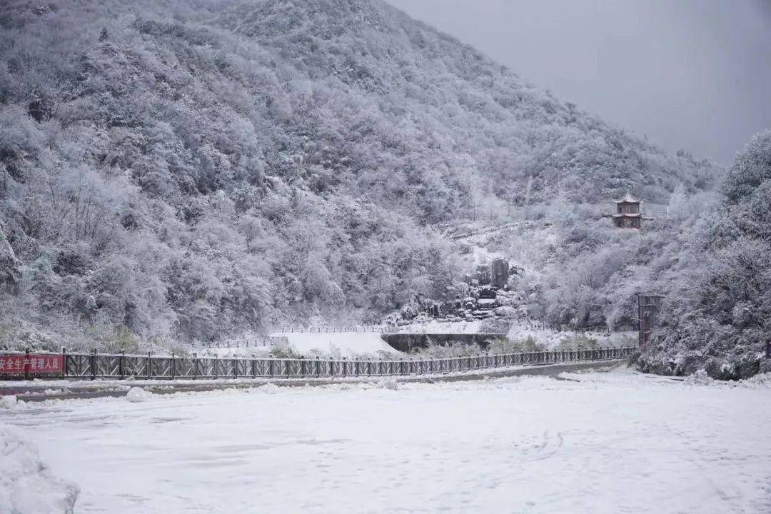 "最美妇女节"门票限时优惠(03.01-03.10)来华蓥山打卡,做最美女人!