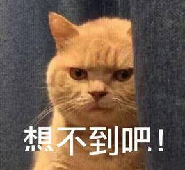 sbs mind is not on sth英释:if your mind is not on what you are