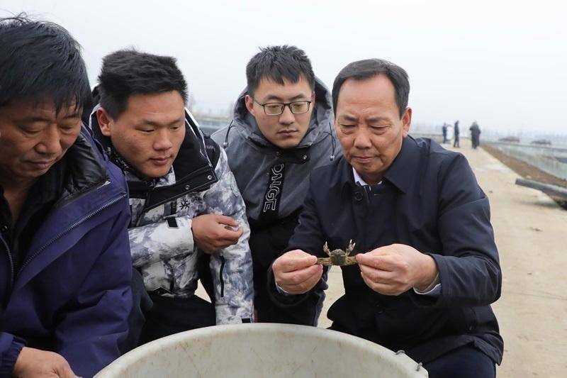 南京市高淳区生态环境优美,水资源丰富,螃蟹产业是全区重要的富民产业