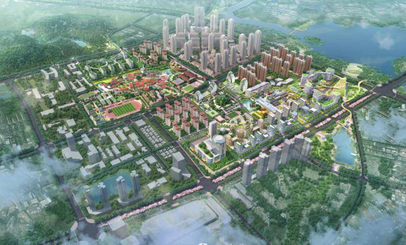 涉及梅岭,青阳,安海,紫帽……_东新区_教育规划_建设