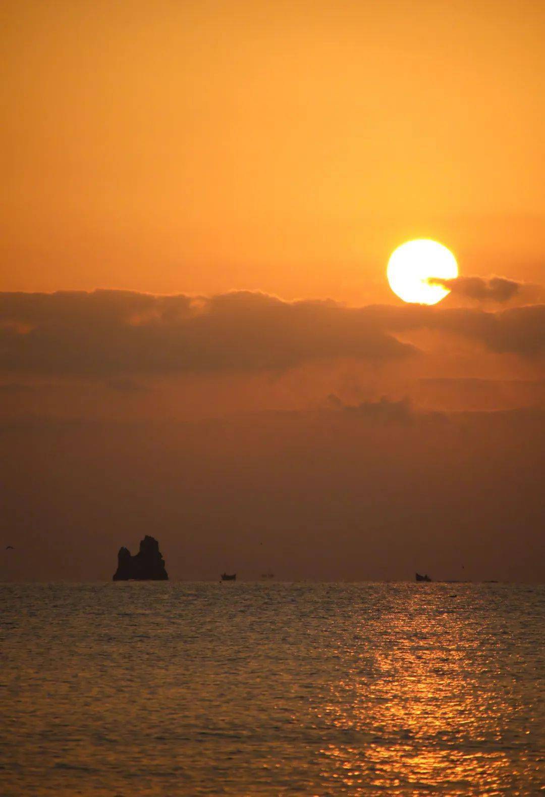 日出青岛,美翻了!_海面_太阳_国利