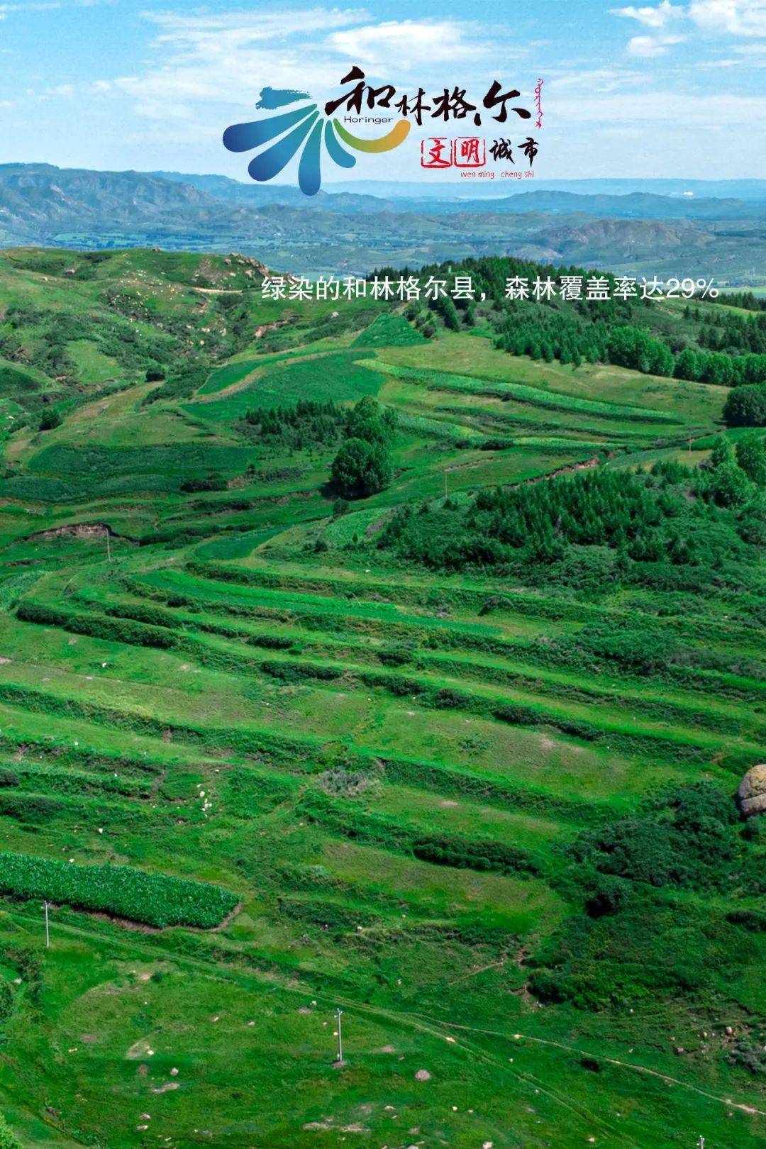 五彩和林格尔_芍药_美食_农村