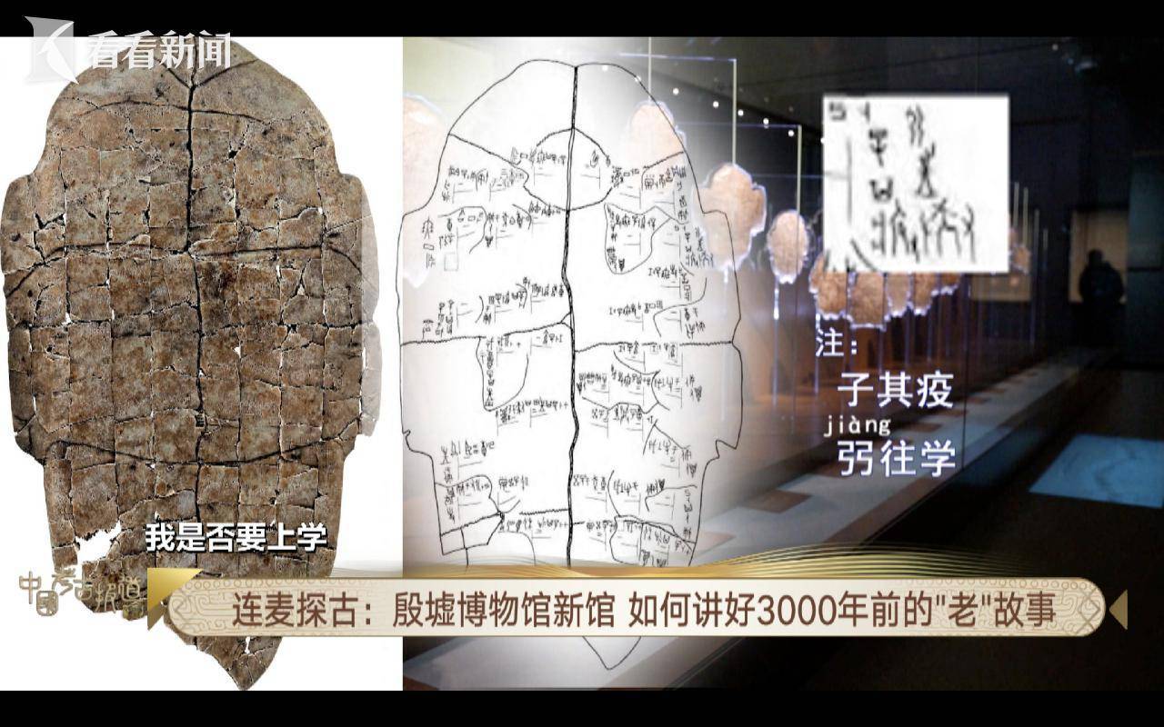 打开三千年前商朝甲骨文版"王子日记"_武丁_卜辞_于成龙