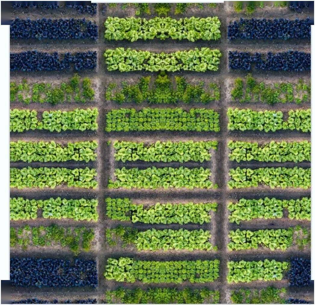 设计师最怕做"菜地菜园"设计,素材真难找!_数据_景观_资料