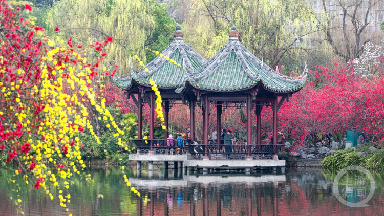 《春影》组照一 马刚 摄于成都双流棠湖公园