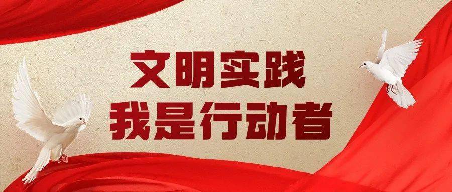 【文明实践我是行动者】赓续雷锋精神 共创文明大兴