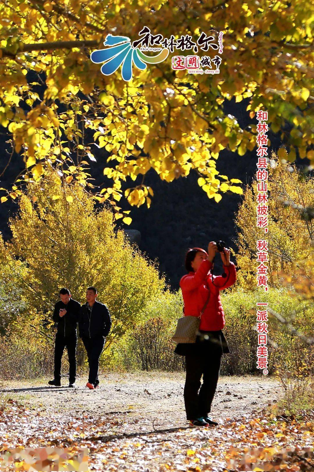 1,和林格尔有一个地方,比额济纳的胡杨林还美丽,比甘南的人文更淳朴!