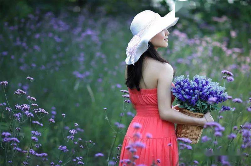 【连衣裙】宋冬野经典歌曲(深情次中音萨克斯音乐)_唯美_店铺_品牌