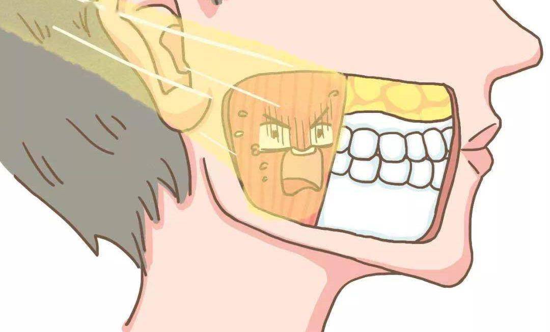 人体最硬的部位却在晚上备受摧残