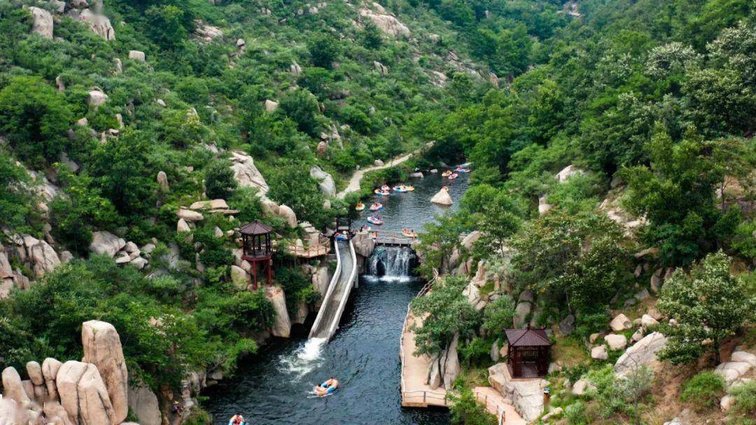 到枣庄→上春山,春光烂漫不思还～_湿地_风景区_水库
