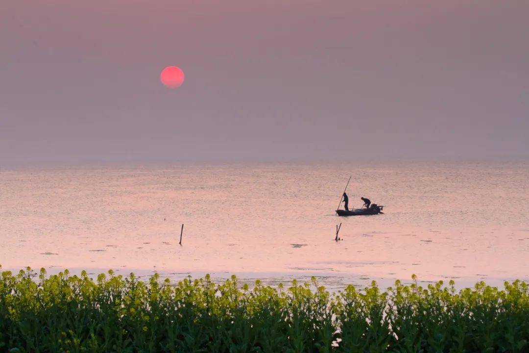 一生必背的100句经典古诗词,每一个都是千古名句