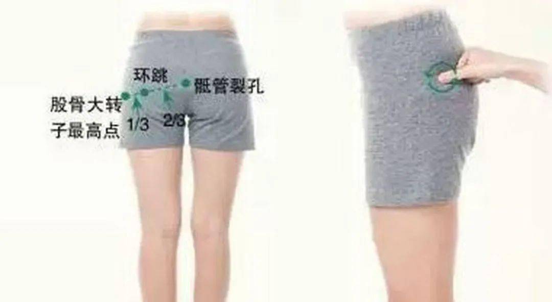 的臀大肌,臀小肌,梨状肌,还是臀肌筋膜,坐骨神经,闭孔内肌与上下宨肌