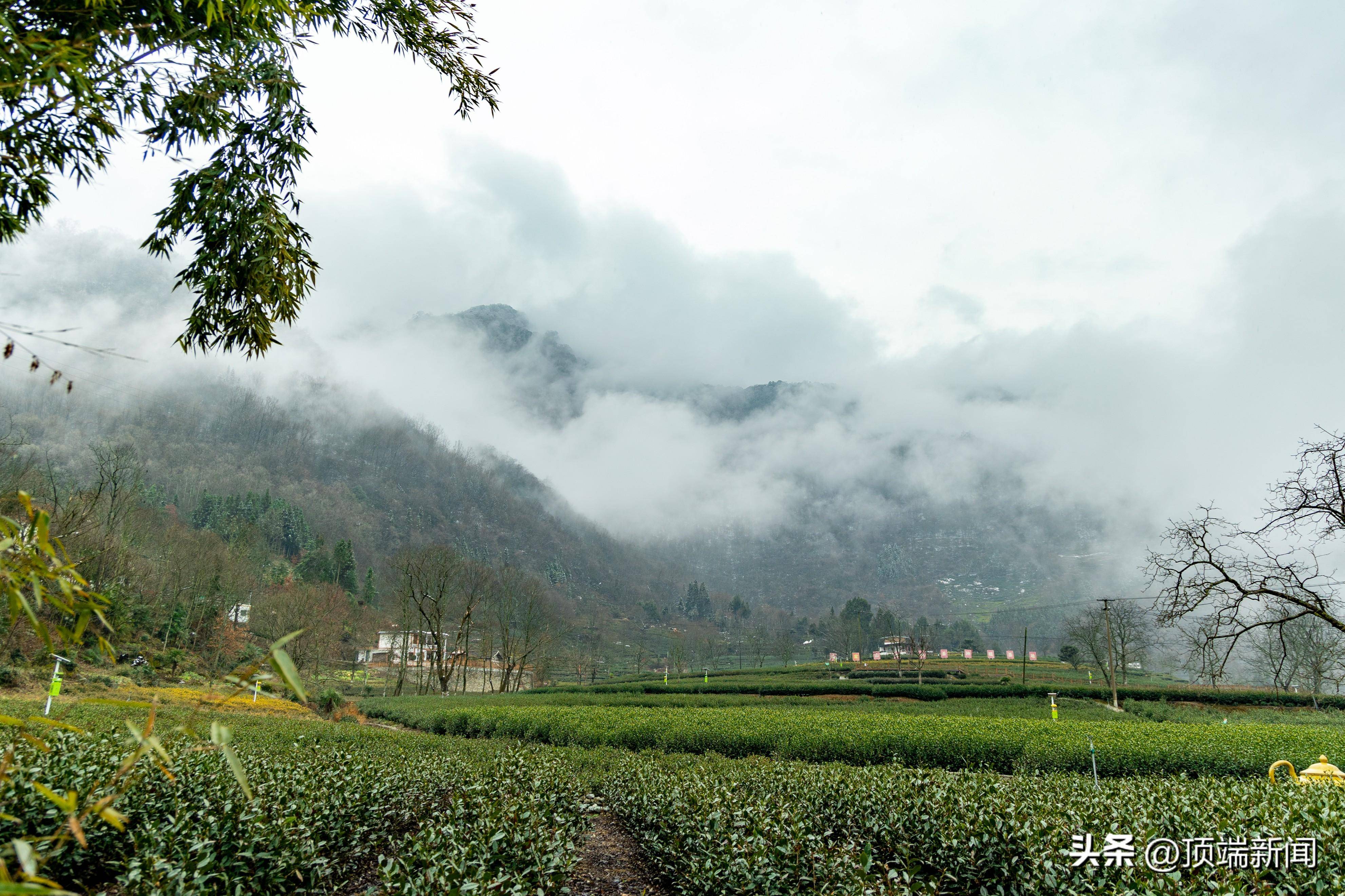 热搜霸榜河南甘肃联手打造全国文旅新媒体宣传新格局