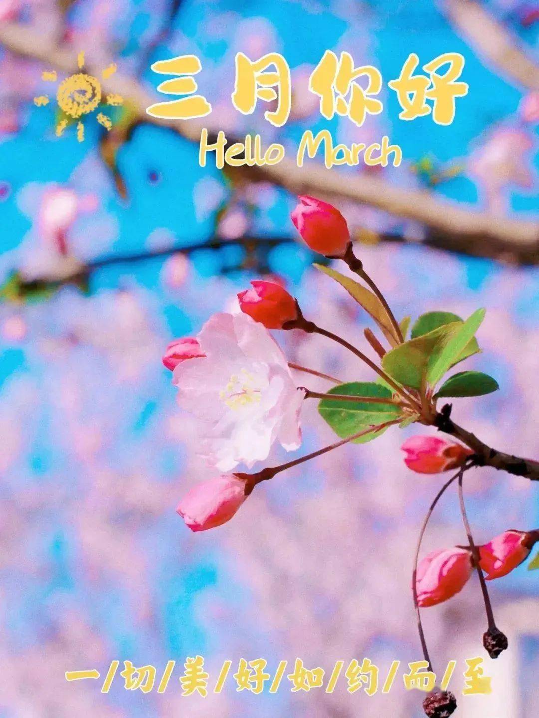 三月三,问候_阳光_康健_朋友