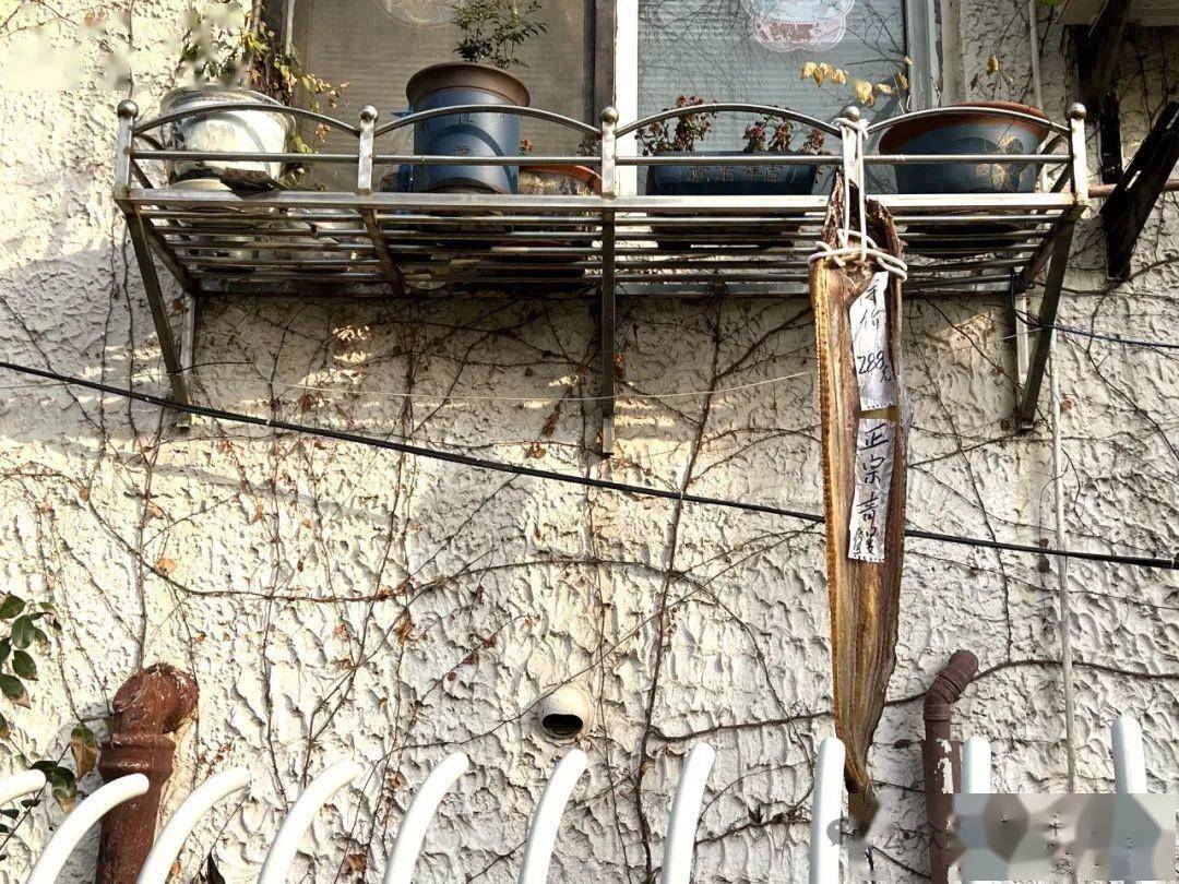 夜读|沈轶伦:鳗鲞之味_妈妈_宁波_上海