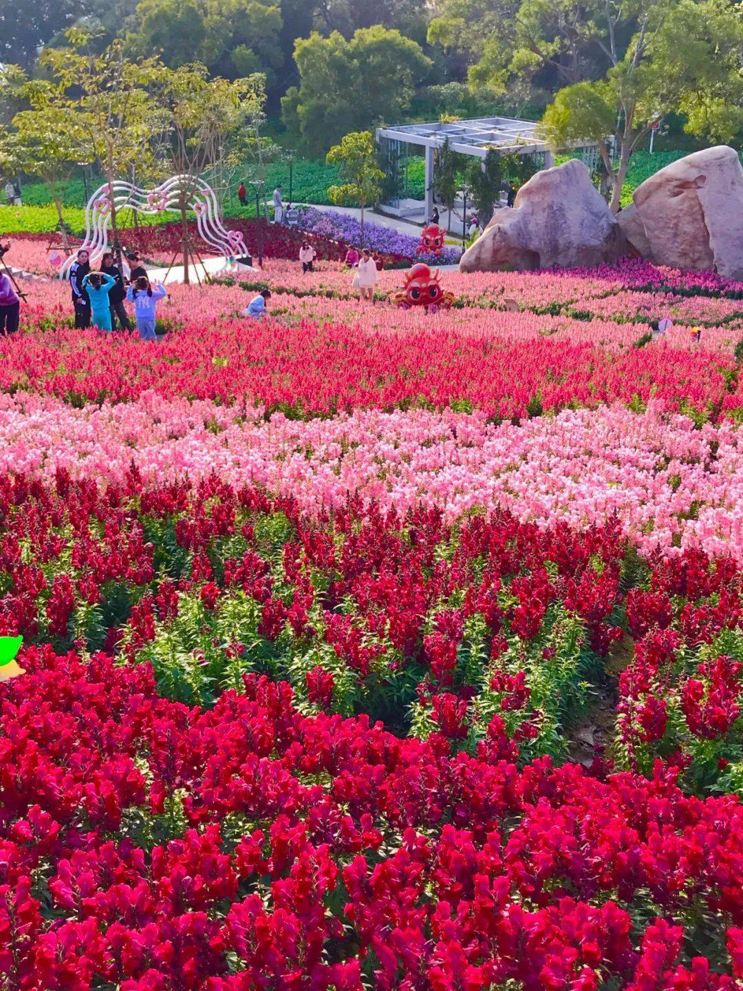 巨出片!快来解锁福建的"花花世界"