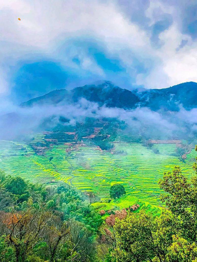 清明3天又见61婺源望仙谷火车の篁岭油菜花仙气飘