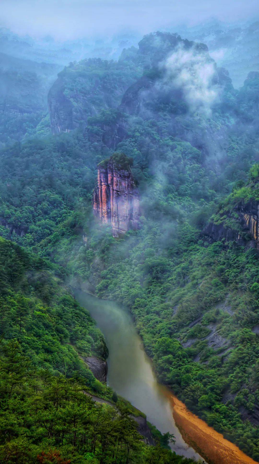 来大武夷赏春光