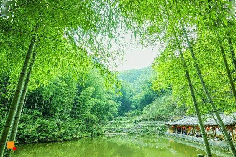 清明3天又见61黄山火车の水墨徽州黄山宏村木坑竹海新安江山水画廊