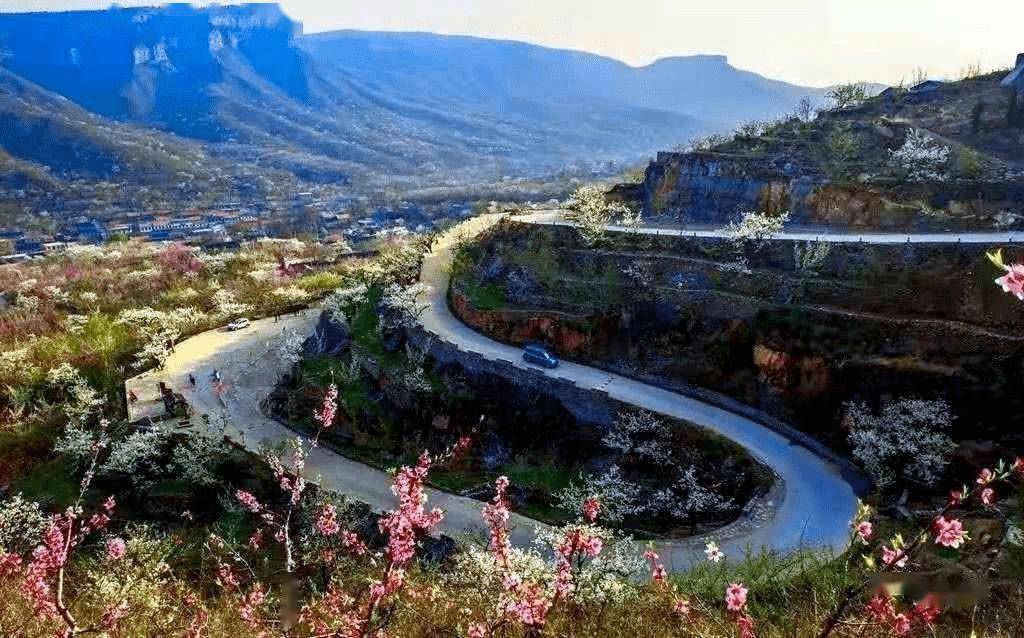 花期预告 | 春暖花开时,平邑赏花季