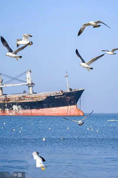 上海一网红打卡地是被台风"吹"来的?_船只_网友_相关