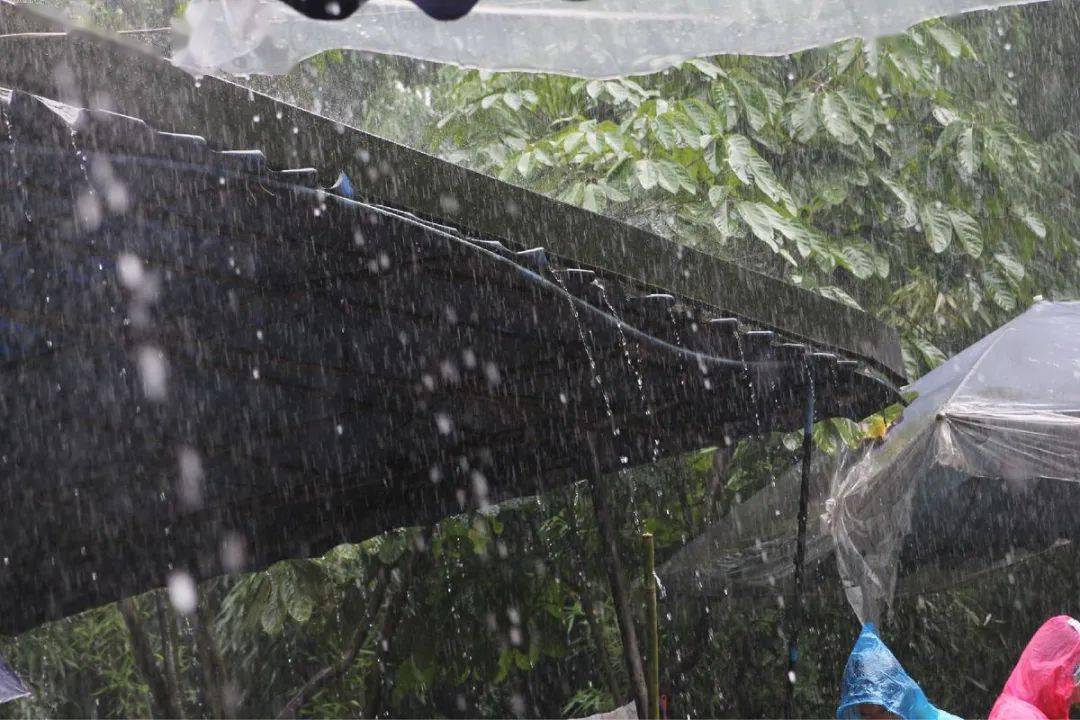 未来三天湖南大部有雨 湘北局地大雨