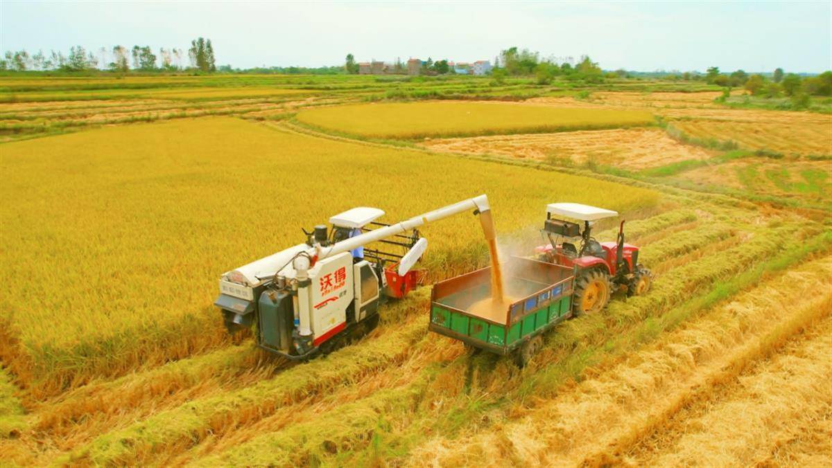 湖北孝昌获评全国农业生产全程机械化示范县
