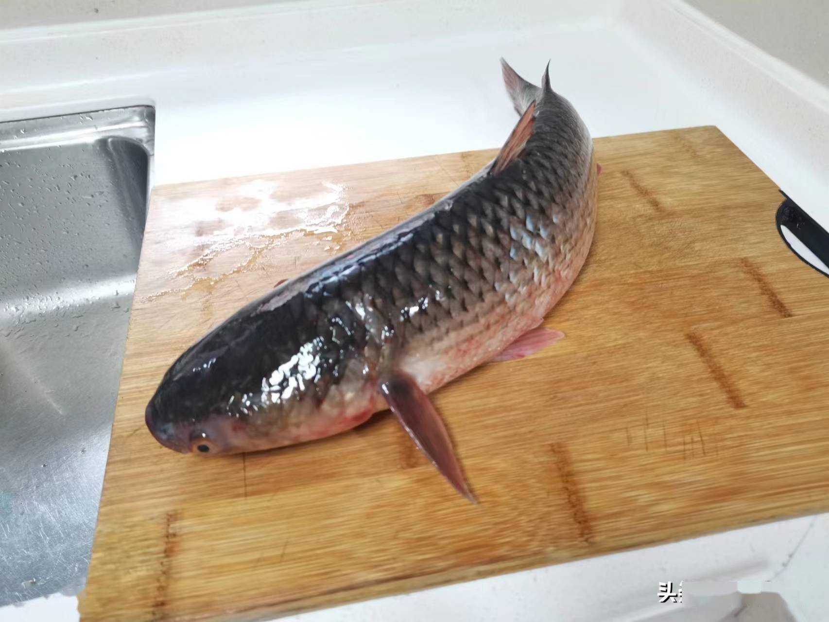 惊蛰前后,遇到此物别手软,一年只存在十几天,错过又得等一年_梭鱼